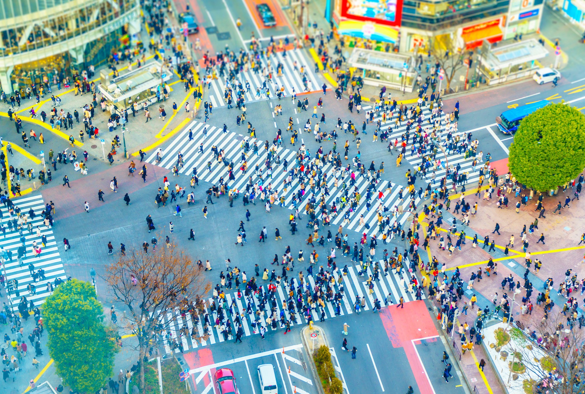 Tokyo, Japan view of Shibuya Crossing
